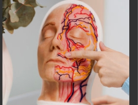 Revue d'anatomie tête et cou & introduction aux toxines botuliques type A