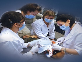 Service d'implantation et de soutien du département d'orthodontie