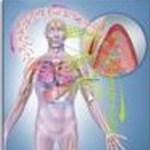 Is Periodontitis an Infectious or an Inflammatory Disease?